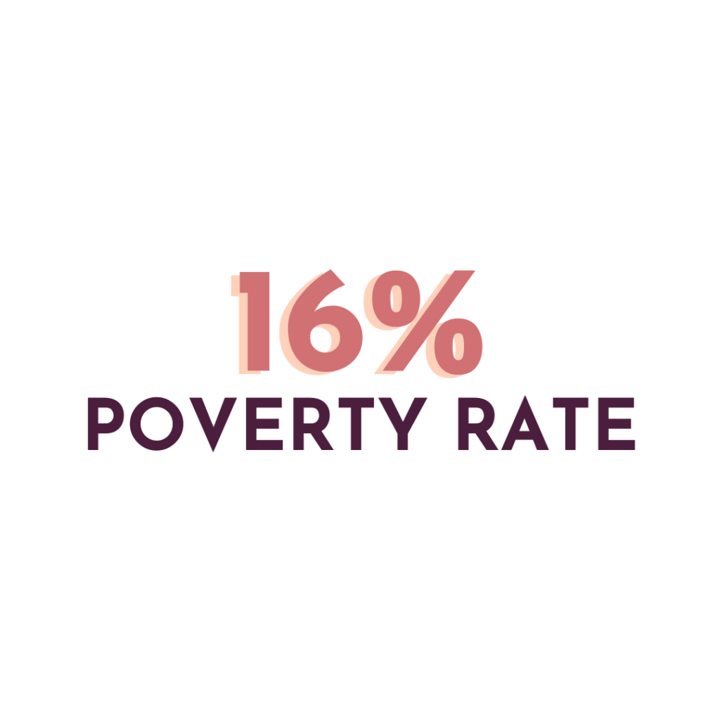 16% in light pink above the text Poverty Rate in deep purple.